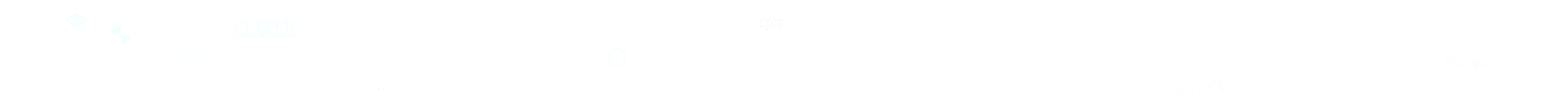 Auswahl von Kundenlogos aus Projekten von XPUNKT Visual Design